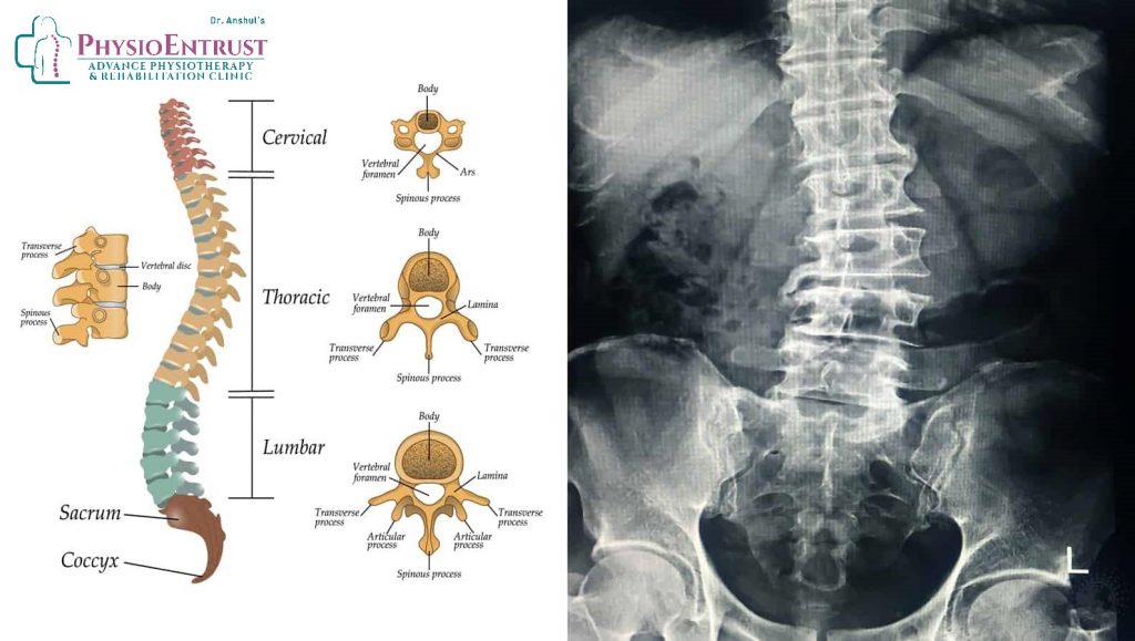 15 Simple Habits That Improve Spinal Alignment and Reduce Back Pain
